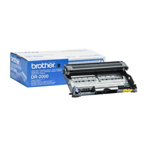 Brother Tambor (DR2000)