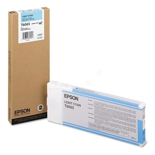 Epson Cartucho de tinta foto ciano (C13T606500 / T6065)