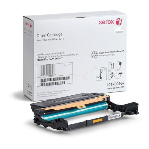 Xerox Tambor (101R00664 / 101R664)
