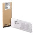 Epson Cartucho de tinta preto (C13T606700 / T6067)