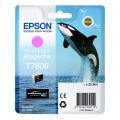 Epson Cartucho de tinta fotografia magenta (C13T76064N10 / T7606)